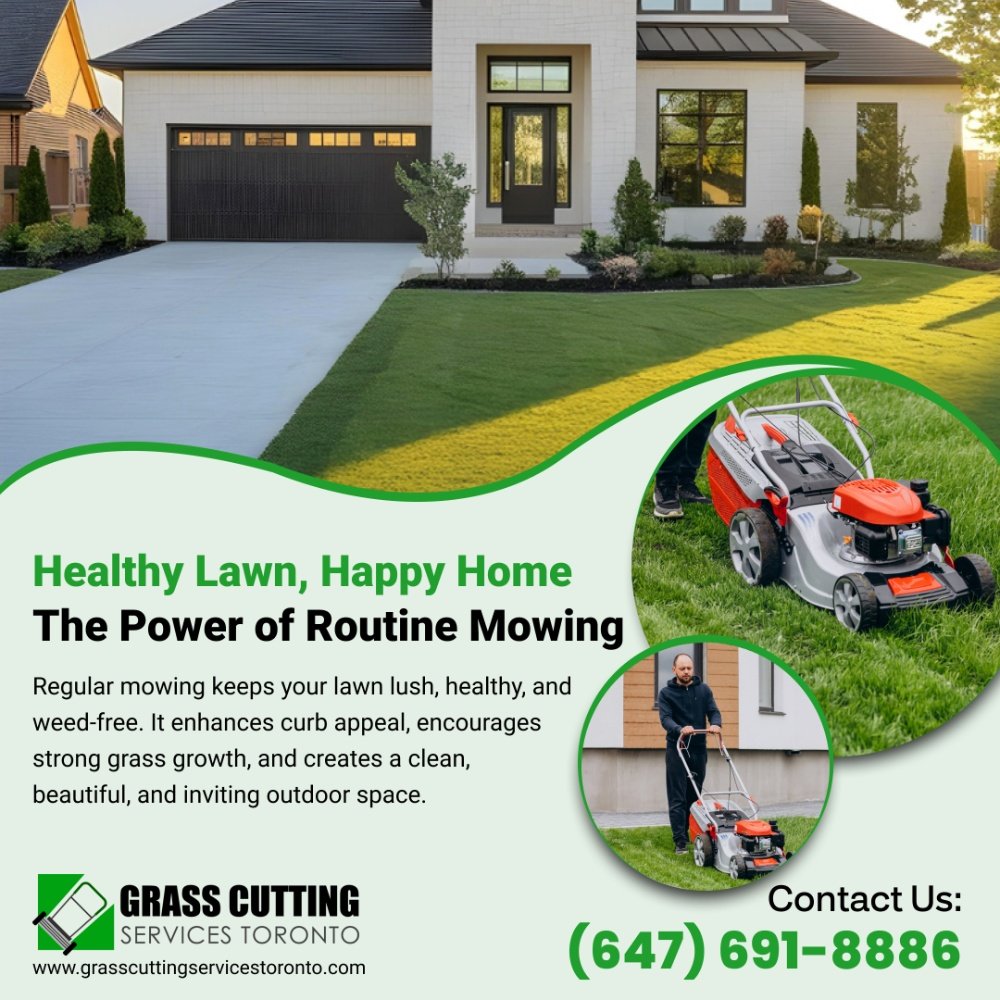 Grass Cutting Routine Mowing